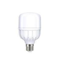 ราคา LEKISE หลอดไฟ LED Capella T-Bulb T80 30W แสงสีขาว (15563727552)