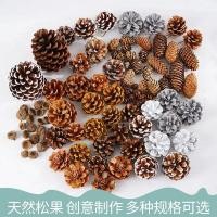 ราคา ชุดลูกสนตกแต่ง DIY - วัสดุธรรมชาติสำหรับอนุบาล (ลูกสน+กิ่งไม้แห้ง) งานนวัตกรรมสิ่งแวดล้อมป่าไม้ (24945927063)