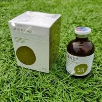 ราคา Baitwen เด็ก Face Green ที่ละลายน้ําได้ Essence 50ml/กล่อง Green Solution ทั้ง Body Shaping Double Chin ต้นขาสามารถตรวจสอบ Anti-Poscofeiting 25.11.28 (45502310049)