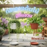 ราคา กระถางพลาสติกดอกไม้ แบบแขวน กระถางดอกไม้ กระถางต้นไม้พร้อมมากับถาดรองด้วย (40577376531)