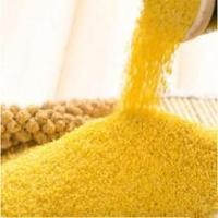 ราคา สดใหม่ข้าวฟ่าง(优质散装小米)ขนาด500g ข้าวฟ่างเกรดคุณภาพ คุณค่าทางโภชนาการสูง ประกอบอาหารได้หลากหลาย เช่นโจ๊กข้าวฟ่าง ข้าวฟ (22814034706)