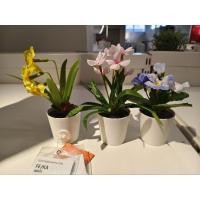 ราคา shoppingIKEA FEJKA เฟคก้า ต้นไม้ปลอมมีดอก / 3ต้น เหลือง ชมพู ขาว (27284305347)