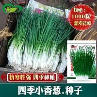 ราคา โฟร์ซีซั่นส์ผักทนความเย็นเมล็ดหัวหอมขนาดเล็ก (50850344099)