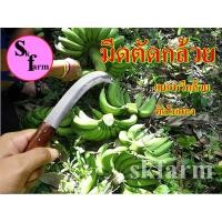 ราคา มีดตัดกล้วย มีดหั่นกล้วย มีดปาดกล้วย มีดตัดผัก มีดชำแหละ พร้อมส่ง (20812949382)