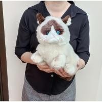 ราคา ตุ๊กตาสัตว์เหมือนจริง แมวหน้าบึ้ง ขนนุ่ม ตาแก้ว Grumpy Cat ขนาด 1ุ6 นิ้ว ( หน้าถึงหาง ) ป้าย Gund (22412269191)