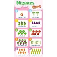 ราคา สติ๊กเกอร์สื่อการเรียนการสอน ขนาด 25x50 CM พร้อมติดโฟมบอร์ด หรือฟิวเจอร์บอร์ด (6991521534)