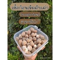 ราคา เชื้อก้อน เชื้อเห็ดตับเต่า เห็ดผึ้ง เห็ดห้า เชื้อก้อน 50-60ก้อน (13301719524)