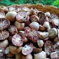 ราคา หมากแห้งผ่าซีก (500 กรัม) หมากแห้งอย่างดี หมากพลู หมากแห้งผ่าซีก หมากแห้งพม่า หมากแก่ สดใหม่ (40751157841)