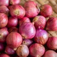 ราคา หอมแดง ตัดจุก ตรงปก หอมแดงไทย ศรีสะเกษ คุณภาพดี เนื้อแน่น หัวสวย รับประกันคุณภาพ บรรจุ 500-1000 กรัม (48954811203)