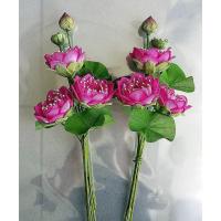 ราคา ดอกบัวประดิษฐ์ ดอกบัวผ้า ดอกบัว บัว ดอกบัวชมพู บัวชมพู ชุดดอกบัวชมพู (แพ็ค คู่490). (5417357868)