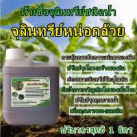 ราคา หัวเชื้อจุลินทรีย์หน่อกล้วยชนิดน้ำ หัวเชื้อจุลินทรีย์ชนิดน้ำ (29780502786)