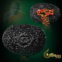 ราคา ประกันแท้ เบี้ยแก้ หลวงปู่เจือ วัดกลางบางแก้ว นครปฐม พิเศษต๊อก2โค๊ต ปี 2548 ห่วงสแตนเลส ปรอทวิ่งดี (43975678343)