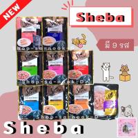 ราคา Sheba ชีบาอาหารเปียกแมวแบบซอง ขนาด 70 กรัม มี 9 รส‼️ (13634963181)