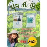 ราคา ปุ๋ย A B ผักไฮโดรโปนิกส์ (24071051552)