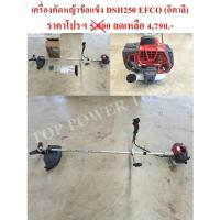 ราคา เครื่องตัดหญ้าข้อแข็ง DSH250 EFCO (อิตาลี) (17921143214)