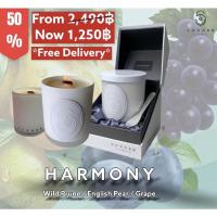 ราคา เทียนหอม Soy Wax Candle 250 Gram ; HARMONY (กลิ่นลูกพรุน / องุ่นป่า / ลูกแพร์ ) (13913604083)