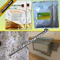 ราคา ชุดเหยื่อกำจัดปลวก Termatrix bait กำจัดปลวกตายยกรัง ชุดเติม(Refill) (13281484098)