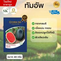 ราคา แตงโมทัมอัพ แตงโมดำ เมล็ดพันธุ์ แตงโม เจียไต๋ ซองละ 40กรัม (24486695049)