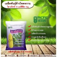 ราคา เมล็ดพันธุ์ข้าวโพดหวาน ไฮบริกซ์ 72 แปซิฟิค 1 kg. เมล็ดพันธุ์ เมล็ดพันธุ์ข้าวโพด ข้าวโพดหวาน ข้าวโพดไฮบริกซ์72 พันธุ์ใหม่ (22842411997)