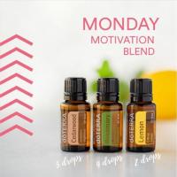 ราคา Cedarwood Nourishing & Rosemary & Lemon Essential OIl 15ml (50401752804)