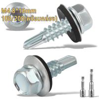 ราคา 【สปอต COD】200ชิ้น M4.8*16mm ปลายสว่าน สกรูยิงแผ่นซ้อน สกรูตัวดูดแผ่น สกรูอ้วน สกรู น๊อต สกรูปลายสว่านหัวเหลี่ยมชุบรุ้ง (51902585806)