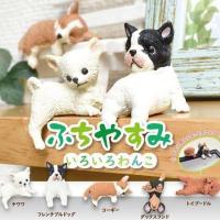 ราคา Gachapon กาชาปองน้องหมาเกาะจอคอม โมเดลหมา (4116423174)