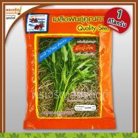 ราคา เมล็ดพันธุ์ผักบุ้ง ผักบุ้งจีน ใบใหญ่ ต้นอวบ (1 กิโลกรัม) เมล็ดผักบุ้งจีนถุงใหญ่ เมล็ดพันธุ์ผักสวนครัว ตราปลาทอง (7585673285)