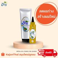 ราคา ชุดขจรปลูกผม แชมพูขจร300ml+เซรั่มขจร150ml บำรุงเส้นผมและหนังศีรษะด้วยสมุนไพร (7282159719)