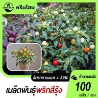 ราคา พริกสีรุ้งเมล็ดพันธุ์พริกสีรุ้ง 100 เมล็ดพริก 7 สีโตไว☘️พุ่มใหญ่ปลูกประดับสวยมาก (26024715992)