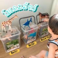 ราคา Animal World - โมเดลสัตว์เซ็ตใหญ่ 3D (8470227663)
