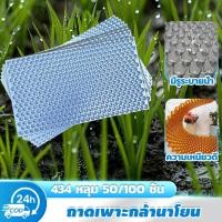 ราคา 434 หลุม 50/100 ชิ้นถาดเพาะกล้านาโยน มีรูระบาย แบบหนา เหนียว ใช้เพาะเมล็ดข้าว ถาดนาโยน ป้องกันโรครากเ (26338692202)