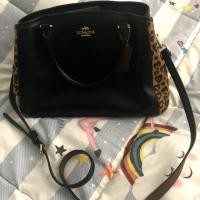 ราคา ขาย Coach ลายเสือ แท้!!!!! มือสอง (1268064492)