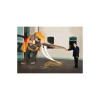 ราคา Pinn Shop ชุดปักครอสติช : ช้างต้น คู่พระบารมี (55804591529)