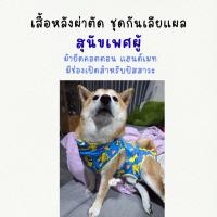 ราคา Size XL สุนัขเพศผู้ ชุดกันเลียแผล ชุดหลังผ่าตัด (26892796192)