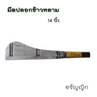 ราคา มีดอรัญญิก มีดปอกข้าวหลาม ยาว14นิ้ว (28125337725)