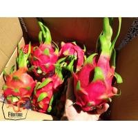 ราคา แก้วมังกร นำเข้าจากเวียดนามแท้ DRAGON FRUIT (4ลูก) (นำเข้า Vietnam) ~ลดพิเศษ~ส่งฟรี~ สดใหม่ แคลอรี่ต่ำ แก้วมังกรสีขาว (3236223681)