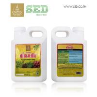 ราคา น้ำทิพย์ชโลมพืช (เดิมปุ๋ยน้ำสูตรเข้มข้น เบอร์ 1) : สูตรบำรุงลำต้นและใบ ปริมาตร 5 ลิตร (6017247911)