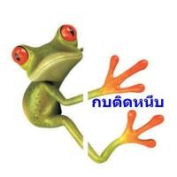 ราคา สติ๊กเกอร์กบ 3D (1159758115)