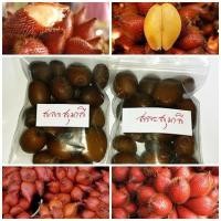 ราคา ซื้อ 1 ชุดแถม 1 ชุด เมล็ดสละสุมาลี ZALACCA EDULIS REINW สละอินโด สละเนินวงศ์ ผลไม้หนามแหลม 100 เมล็ดแถม 100 เมล็ด (5137429082)