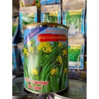 ราคา ผักกวางตุ้งฮ่องกง (กวางตุ้งดอกอินทนนท์) (44150793985)