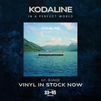 ราคา [แผ่นเสียง Vinyl LP] Kodaline - In A Perfect World 1LP [ใหม่และซีล SS] (44951993482)