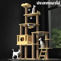 ราคา คอนโดไม้ คอนโดแมว ที่นอนแมว ที่นอนแม คอนโดแมวไม้ มินิมอล ของเล่นแมว เสาลับเล็บแมวได้ (26975124325)
