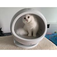 ราคา PETKIT COZY Ver.2 [มือ2] บ้านแมวปรับอุณหภูมิ บ้านแมวติดแอร์ Petkit Cozy Smart Pet House Ver.2 บ้านแมว (9225283614)