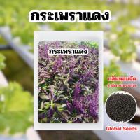 ราคา เมล็ดพันธุ์ กระเพราแดง กลิ่นหอมจัด ทำกระเพราอร่อยมาก บรรจุ 2,000 เมล็ด (40702655021)