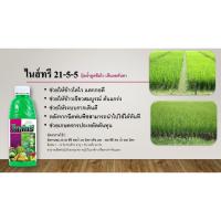 ราคา โฉมใหม่❗️ไนส์ทรี สูตร 21-5-5 ปุ๋ยน้ำดูดซึมไว เห็นผลทันตา ขนาด 1ลิตร (27187753760)