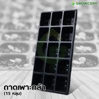 ราคา [G.] ถาดเพาะกล้า ถาดหลุม เพาะเมล็ด จำนวน 15 หลุม (หนา 0.7 มม.) **สั่งขั้นต่ำ 2 ใบ** โดย GROWCERY (11355092156)