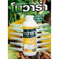 ราคา ฮอร์โมน "โนวาร่า" (เกรดพรีเมี่ยม) ขนาด 1 ลิตร (4557429062)