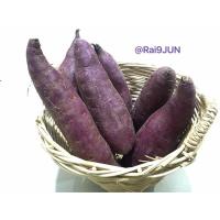 ราคา มันหวานญี่ปุ่นไร่นายจันทร์ สีม่วง สายพันธุ์ฺจากโอกินาวา (0kinawa imo) (41918256582)
