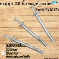 ราคา ตะปูพุก 2.5 นิ้ว ตะปูหัวระเบิด สำหรับยึดไม้ตีรัง ยึดเหล็ก ปูน (20794310397)