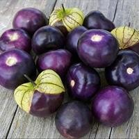 ราคา 10 เมล็ด โทงเทงฝรั่ง หรือ ระฆังทอง สีม่วง ผลไม้ออแกนิค cape gooseberry Fruit Seeds (41823785540)